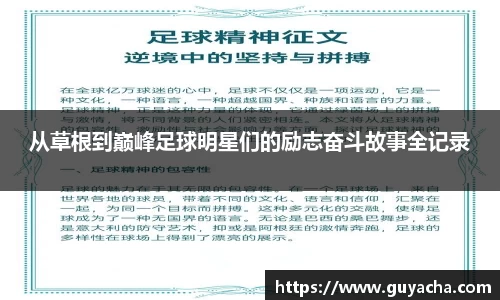 IM电竞-电子竞技平台