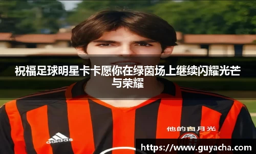 IM电竞股份有限公司