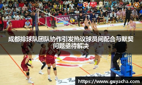 IM电竞股份有限公司